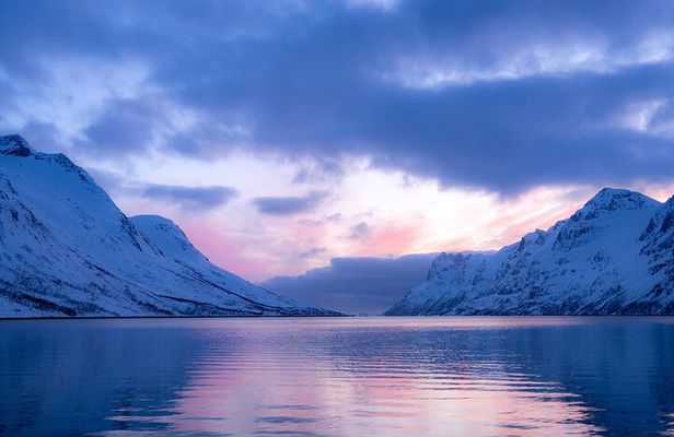 Fjord Adventure Tour in Tromsø with Wildlife and Lunch