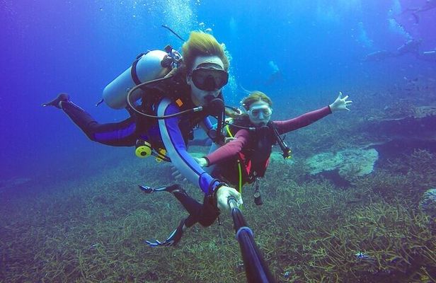 Tiran Island Full Day 2 Diving Stops Trip & Lunch–Sharm El Sheikh