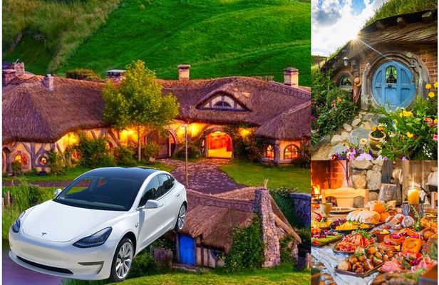 Hobbiton Movie Set Small Group Private Transfer from Auckland