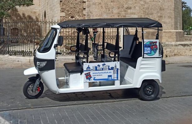 Private TukTuk Tour 2 Hours of Valencia