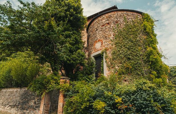 Taste Award Winning Organic Wines in a Castle