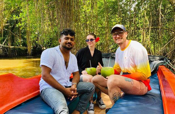 Bentota River Safari: Crocodiles, Monkeys, Birds, Mangrove Forest