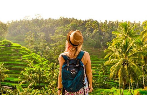 Ubud Tour: Monkey Forest, Rice Terrace, Temple and Waterfall