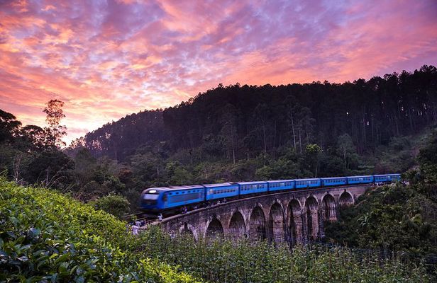 8 Day Private Car and Dedicated Driver Service in Sri Lanka
