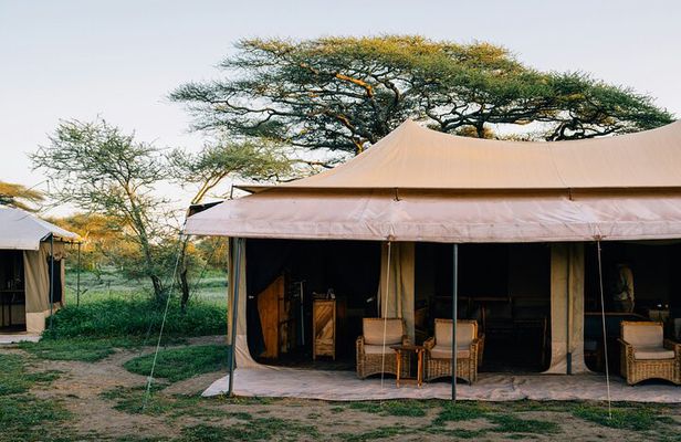 7 Days 6 Nights 4 Star Lodges Safari