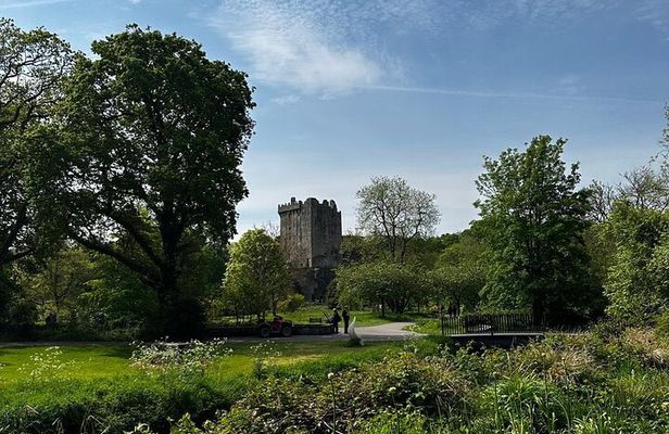 Kiss the Blarney Stone Tour from Dublin