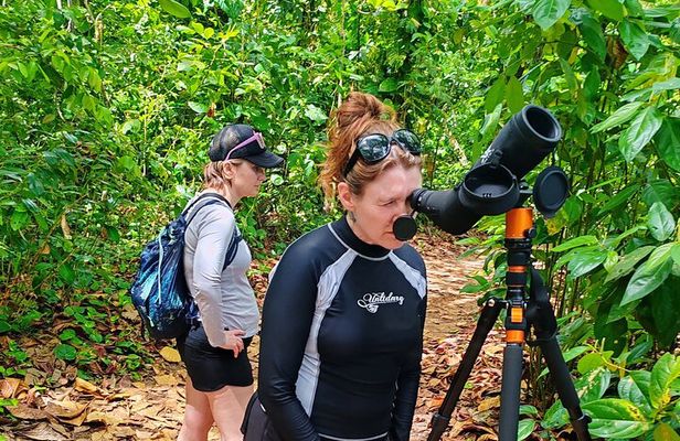 Discover Cahuita National Park Tour