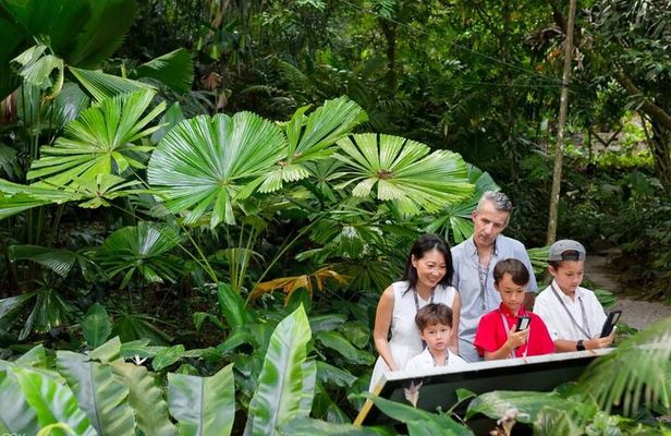 Penang Round Island Tour With Tropical Spice Garden & Entopia Butterfly Farm