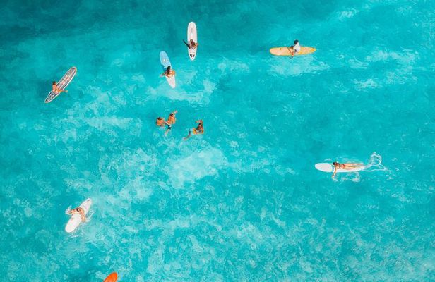 Tenerife Paddle Surf and Snorkeling Experience