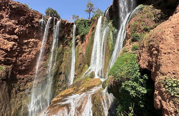 Private Ouzoud Waterfalls Excursion from Marrakech