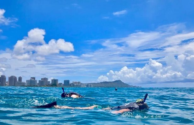 Waikiki Snorkel & Ocean Playground Adventure from Oahu