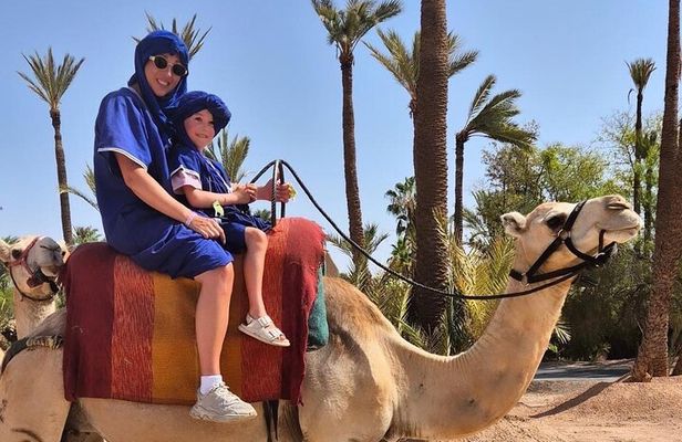 Dromedary at the Palmeraie of Marrakech