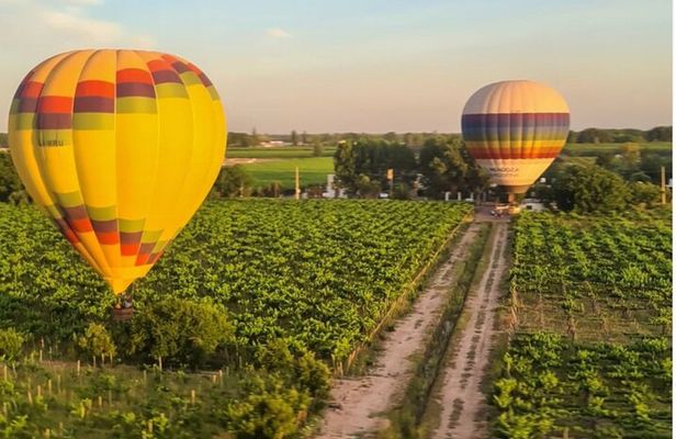 Hot Air Balloon Ride over the Vineyards with Wine Toast