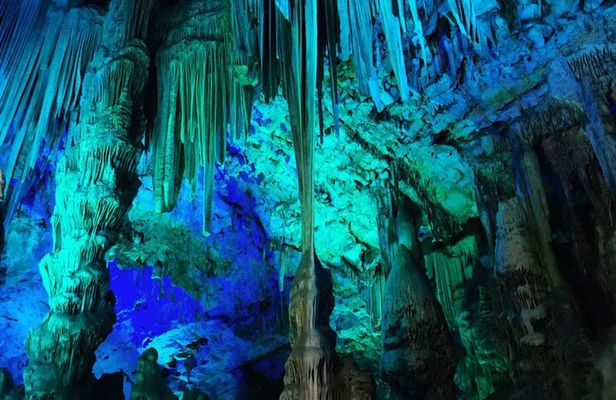 Discover Gibraltar with Gibtours