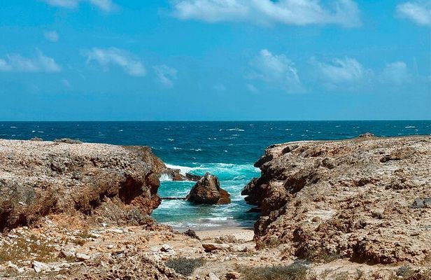 Aruba 6 Hours Private Island Tour
