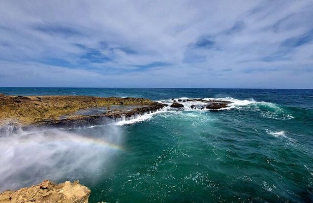 Aruba Private 8 Hour Full Island Customized Adventure Tour