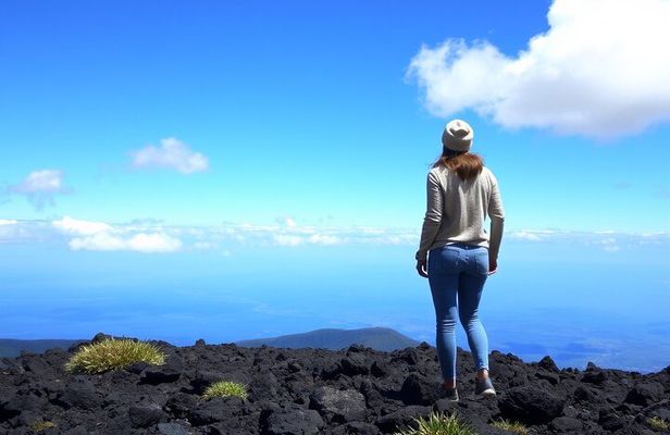 Hilo and Volcano National Park Tour for Cruise Passengers at port