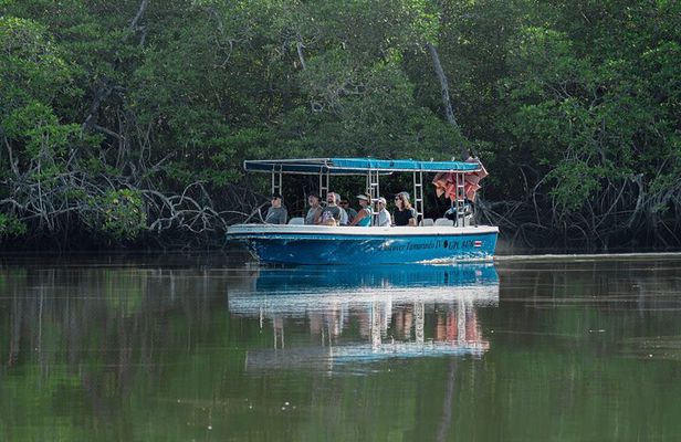 Tamarindo Estuary Boat Tour