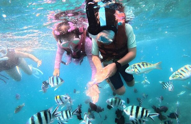Snorkeling Blue Lagoon and Tanjung Jepun All Inclusive