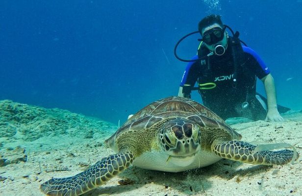 Protaras: Discover Scuba Diving For Beginners 2 Dives