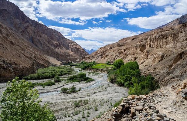 Markha Valley Trek in Ladakh