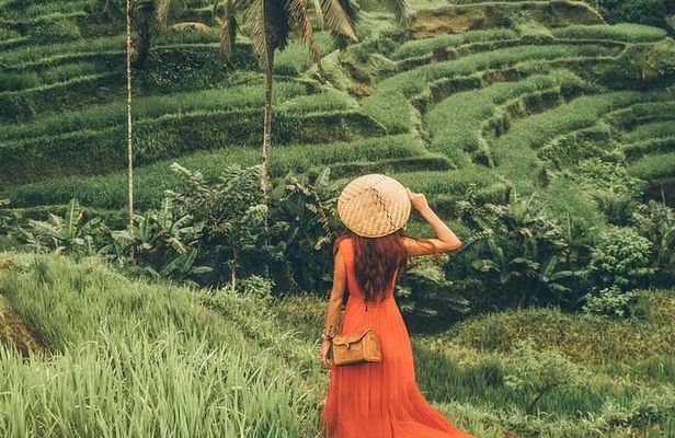 Bali Benoa Shore Excursion from Benoa Port - All Inclusive