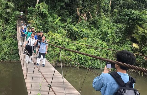Khaoyai National Park Hiking & Waterfalls Full Day Private Tour