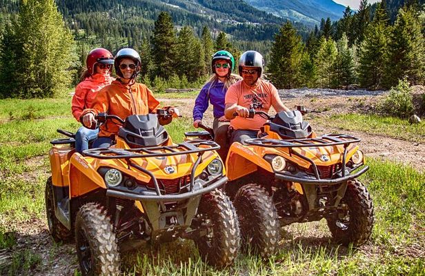 Ultimate ATV and Forest Adventure in Golden Sands