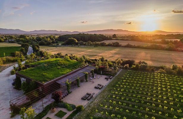 Vineyard walk and wine tasting in l’Empordà