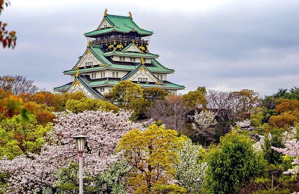 Osaka Full Day Walking Tour with Local Expert Guide