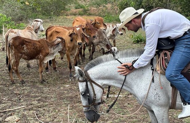 Cowboy for a Day: Explore Colombia’s Countryside near Cartagena