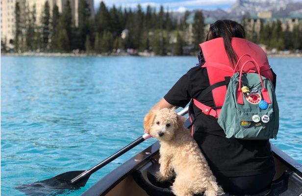 Roundtrip Shared Tour: Lake Louise, Moraine, Johnston & Emerald