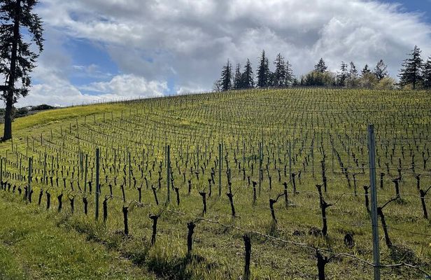 The San Francisco Tour Co. Sommelier Guided Wine Tours