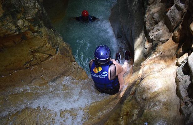 Monkey Tour and 7 Waterfalls Damajagua (Puerto Plata)
