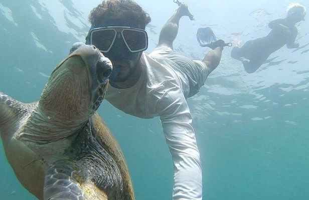 Visiting and Snorkeling in Daymaniyat Islands 