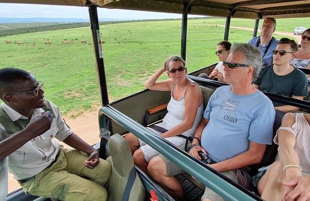 Full day Safari with BBQ Lunch in Addo Elephant National Park.