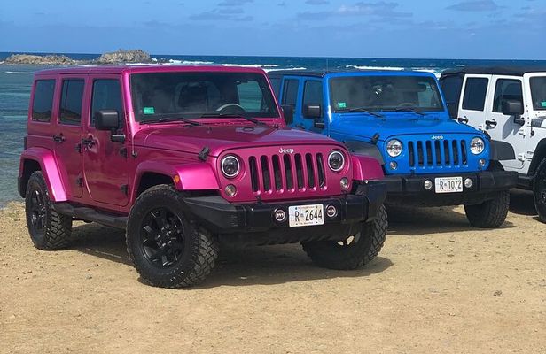 4WD Jeep Safari and Beach Private