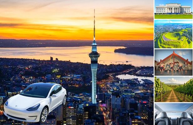 Auckland Sightseeing Tour—Private Full Day/Half Day Driver+Tesla