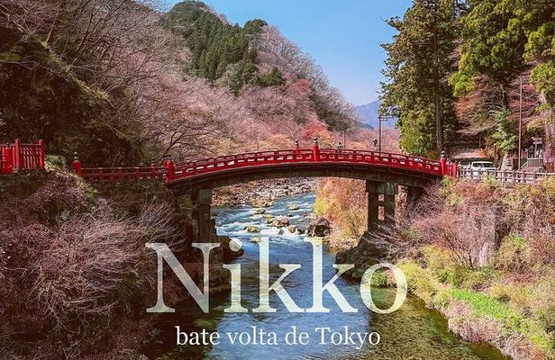 Private Tour to Nikko from Tokyo with Local guide and Vehicle