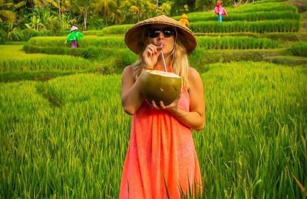 Bali Customized Day Tour With English Speaking Driver
