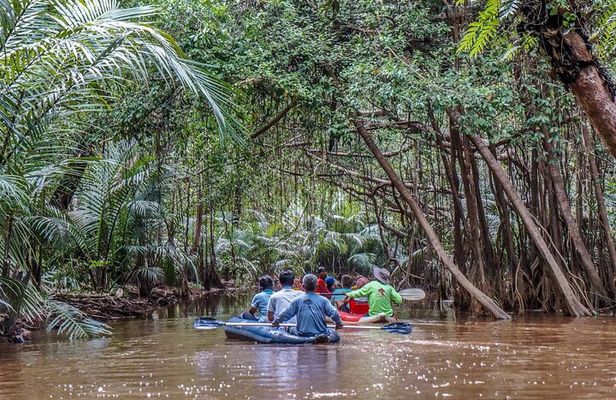 Mangrove Canoeing at Little Amazon Takuapa from Khaolak