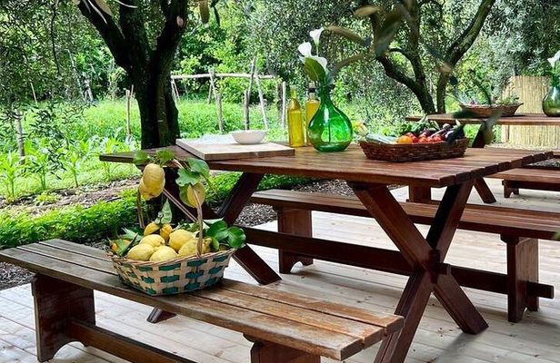 Cooking Class in a Typical Sorrento Garden
