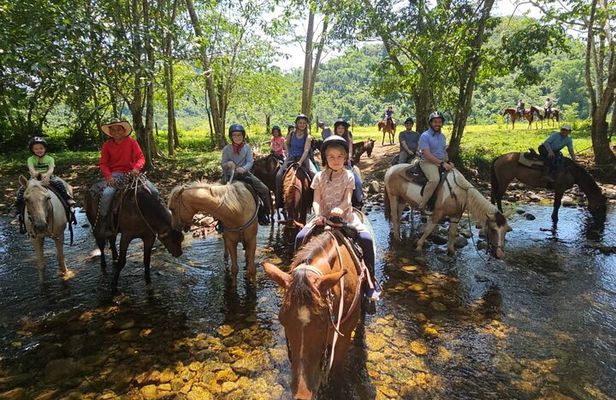 Cruise Excursion - Jungle Horseback Riding in Belize