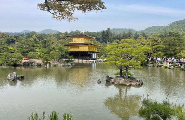 Discover Kyoto by Bike Full Day Tour