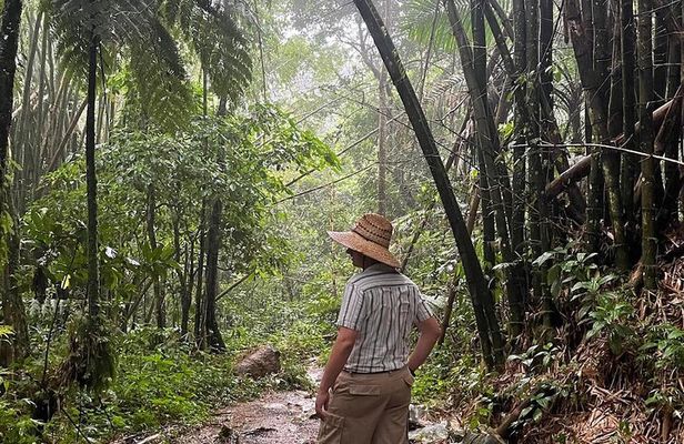 Fully Private & Customizable El Yunque Rainforest Adventure