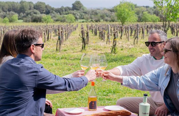 Picnic and wine tasting among the vineyards in l'Empordà