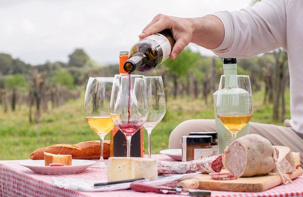 Gourmet picnic and wine tasting among the vineyards in l'Empordà