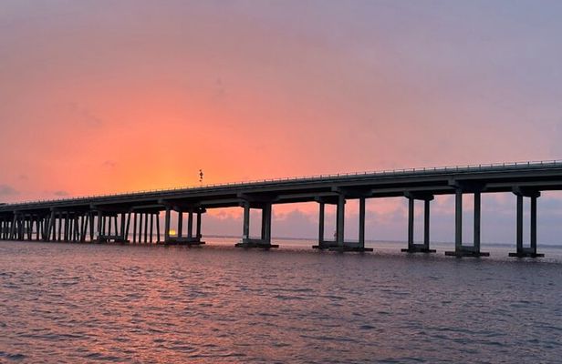 Sunset Dolphin Watching Tour