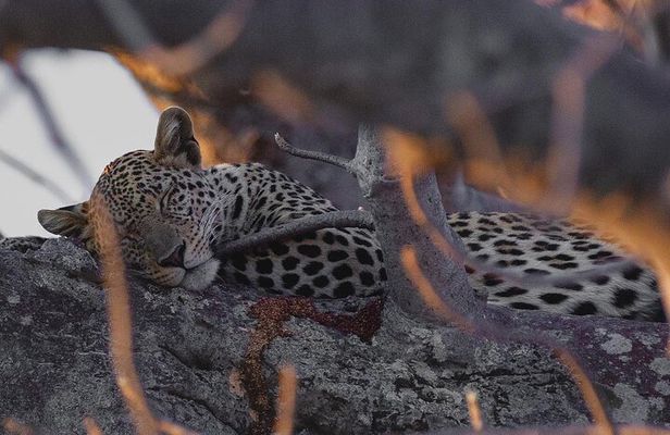 4 Days Group Camping Safari