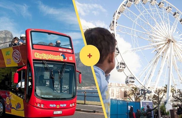 Cape Town: Hop-On Hop-Off Bus Tour and Cape Wheel Combo